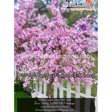 cho thuê cảnh Nhật Bản 8